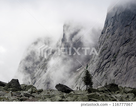 Rapid change in the weather, a thunderstorm front cover forest mountains 116777867