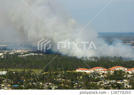 View from above of lagre wildfire burning severely in North Port city, Florida. Hot flames in forest with toxic smoke polluting atmosphere View from above of lagre wildfire burning severely in North Port city, Florida. Hot flames in forest with toxic smoke polluting atmosphere 116778203