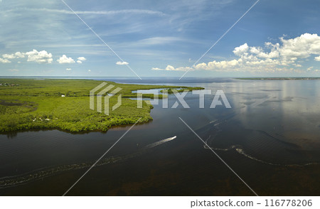 View from above of Florida everglades with green vegetation between ocean water inlets. Natural habitat of many tropical species in wetlands View from above of Florida everglades with green vegetation between ocean water inlets. Natural habitat of many tropical species in wetlands 116778206