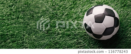 Soccer Ball on Green Grass 116778243