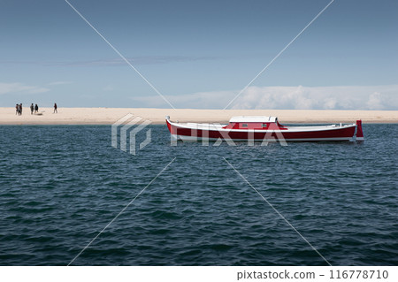 Cruise ends on a desert island 116778710