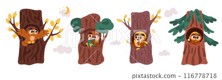 Cartoon owls in homes. Funny forest birds in trees hollows. Animal characters read book or drink tea. Owlets get ready for bed. Woodland birdies. Fir trunks hole. Garish vector set 116778718