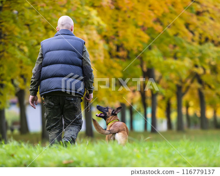 Man walking with a dog in the autumn park. Selective focus. 116779137