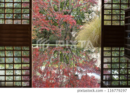 Korin-in Temple - Autumn Reflection (Hojo Entrance) Korin-in Temple - Autumn Reflection (Hojo Entrance) 116779297