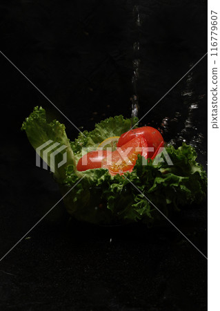 Vegetable salad and water splashes on black background Vegetable salad and water splashes on black background 116779607