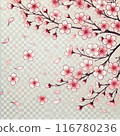 Beautiful cherry blossom background illustration 116780236