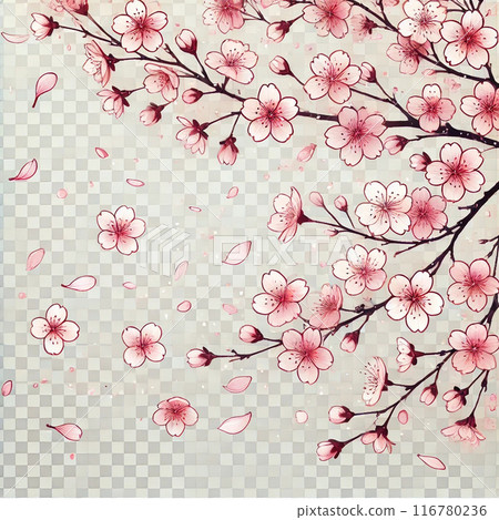 Beautiful cherry blossom background illustration 116780236