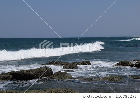 Rough waves of Shonai beach Sea of Japan 116780255