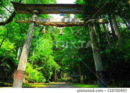 [Fukui Prefecture] Approach to Heisenji Hakusan Shrine 116780465