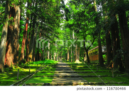 [福井縣] 平泉寺白山神社的參觀路線 116780466