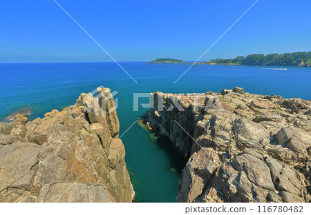 [Fukui Prefecture] Tojinbo and Oshima (Echizen Coast) under fine weather 116780482