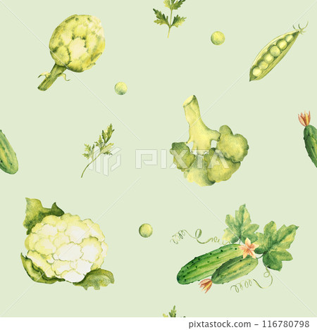 Green Vegetables Watercolor Seamless Pattern with Peas, Broccoli, Cauliflower and Cucumbers, Parsley plant and Artichoke on a light green background. Can be used for kitchen textile prints, product Green Vegetables Watercolor Seamless Pattern with Peas, Broccoli, Cauliflower and Cucumbers, Parsley plant and Artichoke on a light green background. Can be used for kitchen textile prints, product 116780798