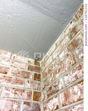 A small wasp nest is nestled in the corner of a brick wall and ceiling. The nest is located in a high corner, showcasing the intricate brickwork and the smooth ceiling surface above. This image 116781332