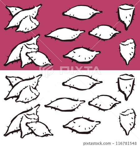 Illustration of "sweet potato" drawn with ink and brush, handwritten, handwritten Illustration of "sweet potato" drawn with ink and brush, handwritten, handwritten 116781548