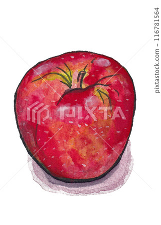 Hand-painted watercolor painting (etegami) "Ripe apple" 116781564