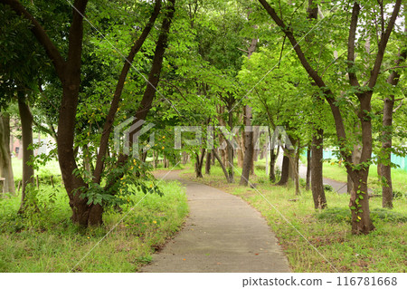 A promenade 116781668