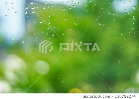 新鮮的綠色雨滴 新鮮的綠色雨滴 116782274