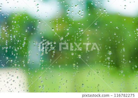 綠色背景上的雨滴 綠色背景上的雨滴 116782275