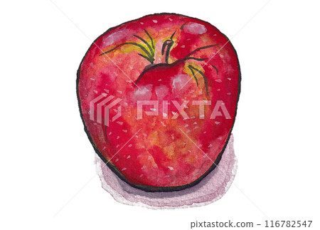 手繪水彩畫（繪信）《熟透的蘋果》側身 116782547