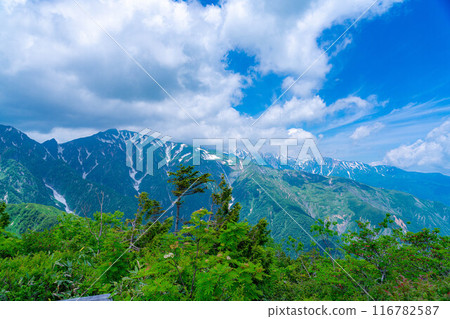 [Mountain material] Sea of clouds and Shirouma Sanzan seen from Mt. Kotomiyama [Nagano Prefecture] 116782587