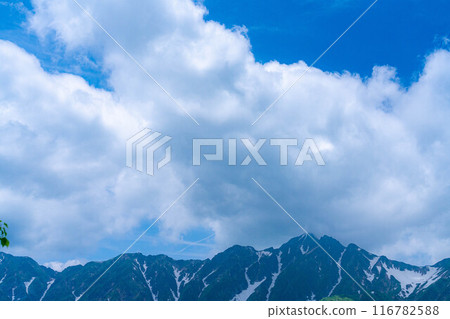 [山素材]從琴宮山看到的雲海和白馬三山【長野縣】 116782588