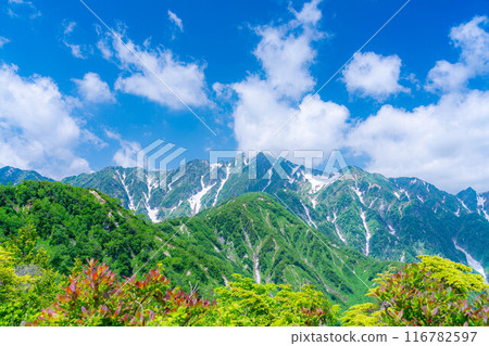 [Mountain material] Sea of clouds and Shirouma Sanzan seen from Mt. Kotomiyama [Nagano Prefecture] 116782597