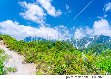 [山素材]從琴宮山看到的雲海和白馬三山【長野縣】 116782598
