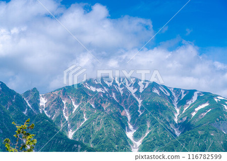 [Mountain material] Sea of clouds and Shirouma Sanzan seen from Mt. Kotomiyama [Nagano Prefecture] 116782599