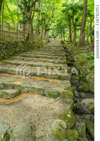 滋賀縣東近江市:從綠意盎然的百濟寺正殿通往正殿的石階 滋賀縣東近江市:從綠意盎然的百濟寺正殿通往正殿的石階 116782951