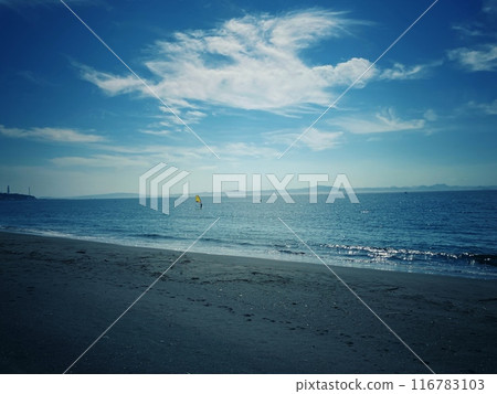A person enjoying the blue sky, the sea and windsurfing 116783103
