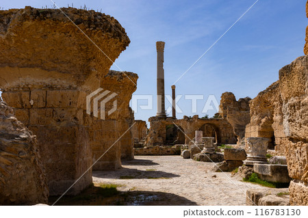 Ruins of Antonine Baths at Carthage, Tunisia 116783130
