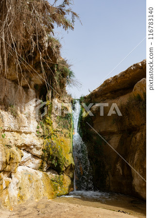 There is waterfall surrounded by poor vegetation among light stone rocks in Tamerza oasis, Tunisia 116783140