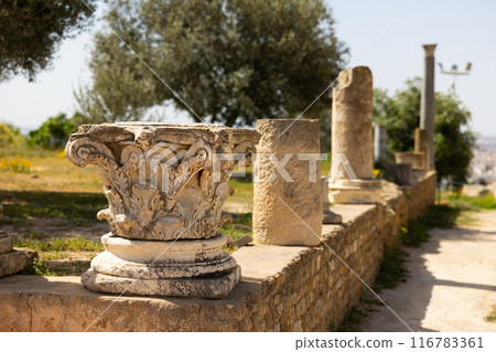 Upper carved part of column is capitello , standing among remains of columns. Upper carved part of column is capitello , standing among remains of columns. 116783361