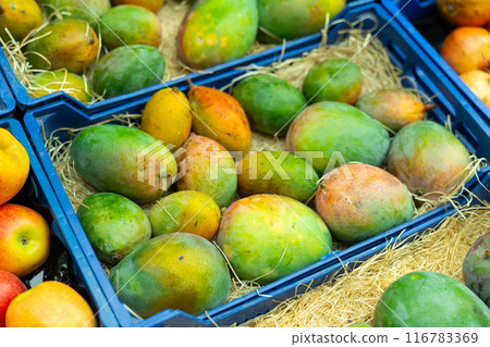 Close-up view of fresh mangos placed in plastic box 116783369