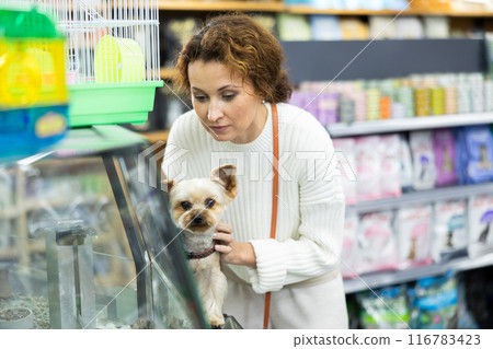 Smiling woman with Yorkshire terrier observing at hamsters in pet store 116783423