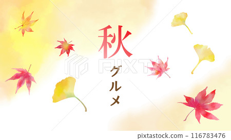 Watercolor background and maple and ginkgo autumn frame material, vector illustration, 16:9, white background 116783476