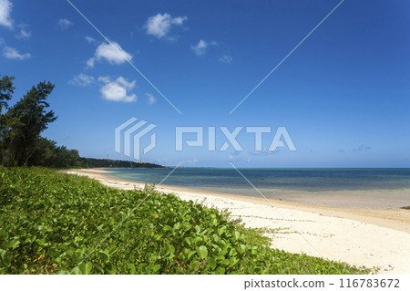 Okinawa Coast Okinawa Coast 116783672