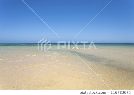 沖繩海岸 116783673