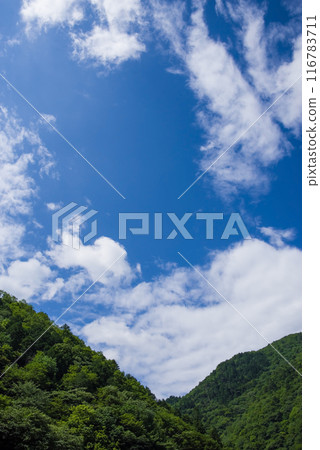 清爽的夏日山巒與夏日天空《夏日影像/背景素材》 清爽的夏日山巒與夏日天空《夏日影像/背景素材》 116783711