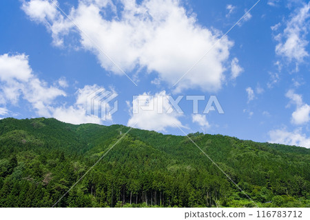 Refreshing summer mountains and summer skies {Summer image/background material} 116783712