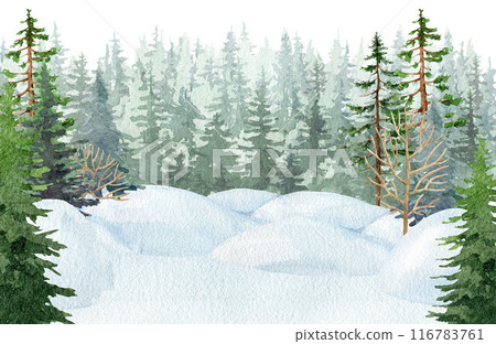 Winter season forest snowy landscape painted illustration. Hand drawn fir trees, pine, conifer wildlife nature scene covered with snow. Painted fir tree forest covered with snow background Winter season forest snowy landscape painted illustration. Hand drawn fir trees, pine, conifer wildlife nature scene covered with snow. Painted fir tree forest covered with snow background 116783761