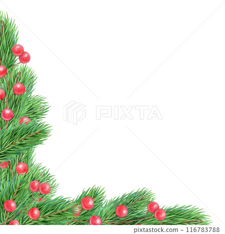 Pine tree branch decor painted illustration. Fir twigs with green needles, red berries corner frame isolated on white background. Winter holiday evergreen decoration, spruce or cedar element 116783788
