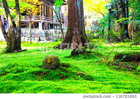 Children's Jizo 116783893