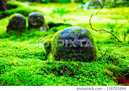A child Jizo who goes his own way A child Jizo who goes his own way 116783894