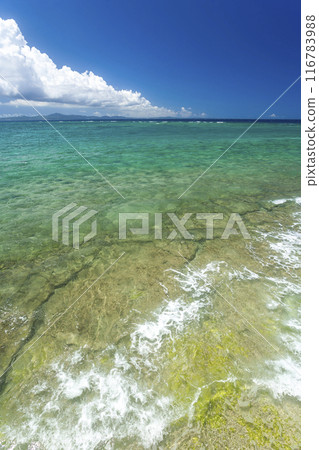 沖繩海岸 沖繩海岸 116783988