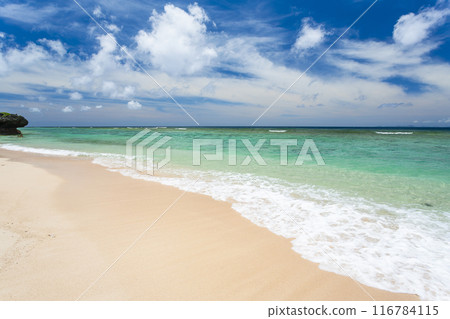 沖繩海岸 沖繩海岸 116784115