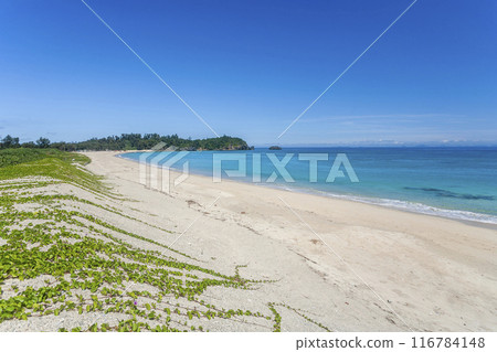 Okinawa Coast Okinawa Coast 116784148