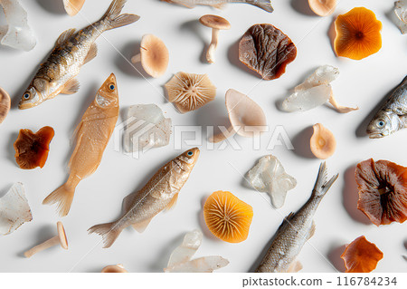 小魚木耳幹 116784234