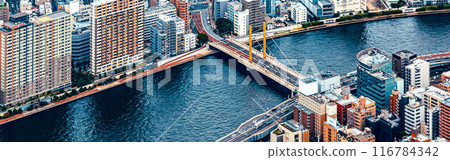 Aerial view of the Sumida River in Tokyo Aerial view of the Sumida River in Tokyo 116784342