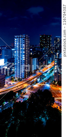 Aerial view of Minato, Tokyo, Japan 116784387